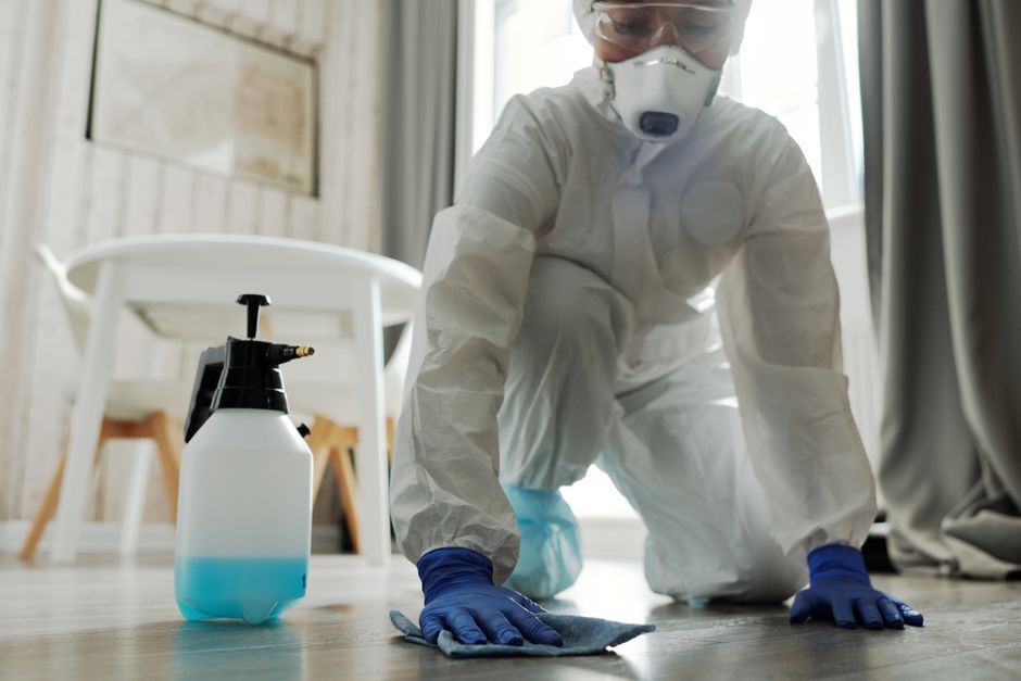 Mould in wardrobe after rain in Singapore: what to do