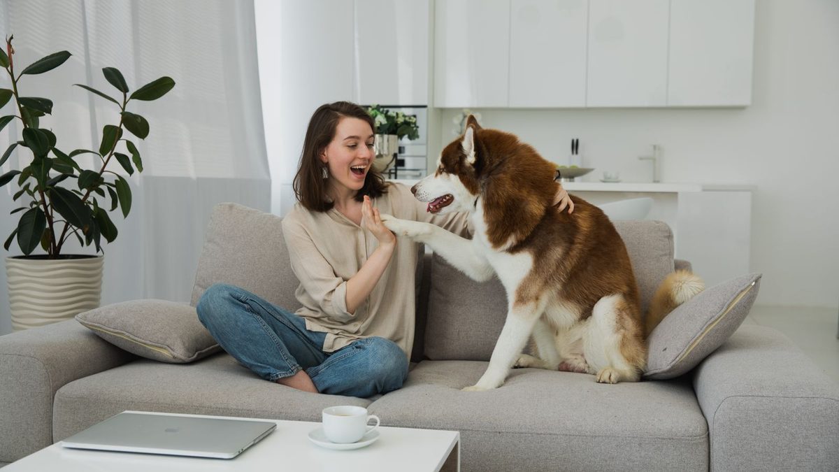 Woman relaxing on a white sofa with her husky in a bright modern living room. Photo by KATRIN  BOLOVTSOVA on Pexels