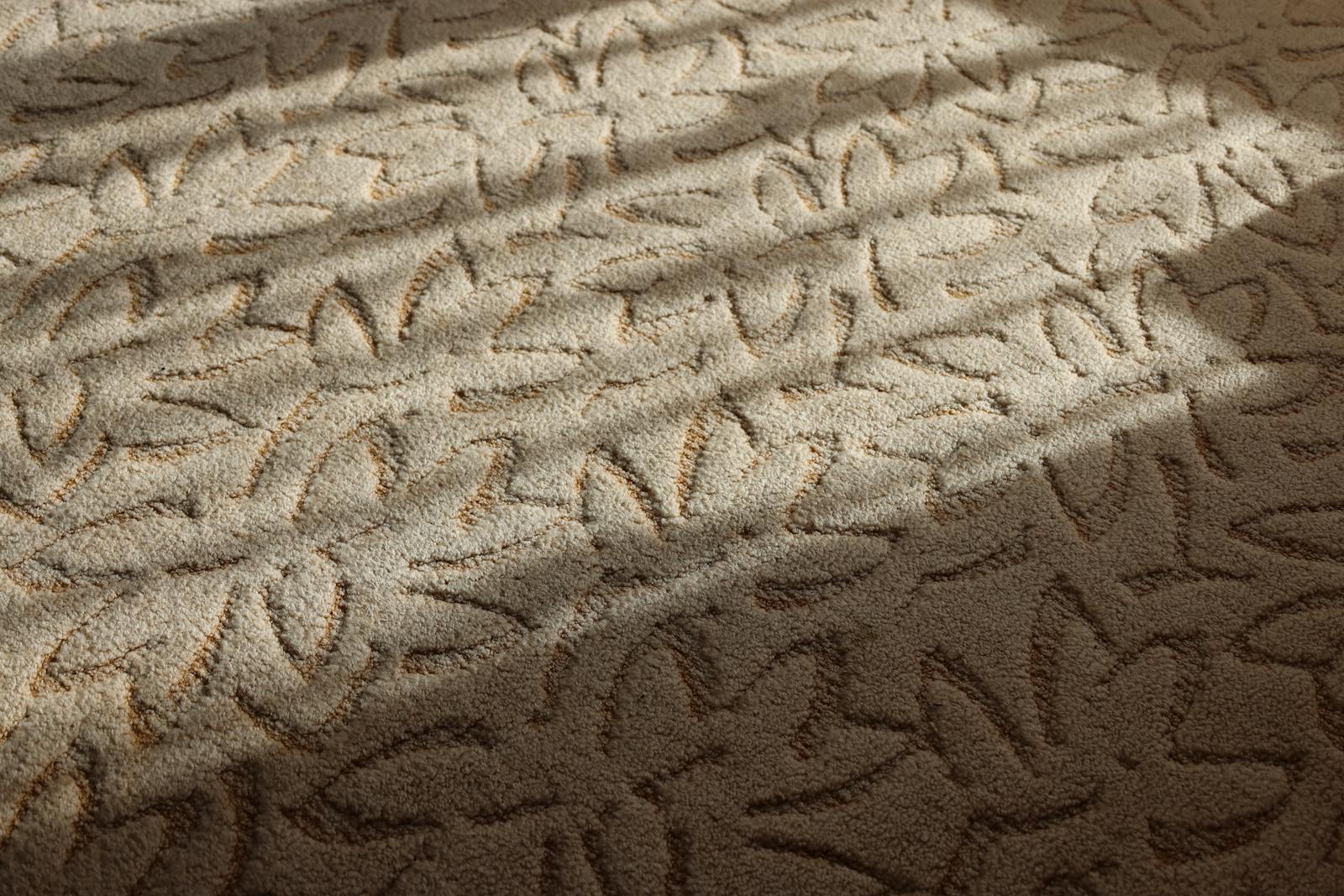 Shampoo Cleaning Hacks: Reviving Singapore Carpets for the Holidays