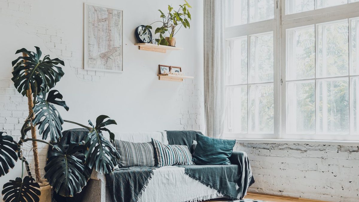 Bright living room with large windows, grey sofa, and plants in a modern home. Photo by Stanislav Kondratiev on Pexels