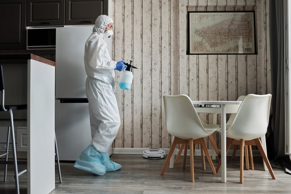 What fridge door gaskets trap that weekend wipes never reach