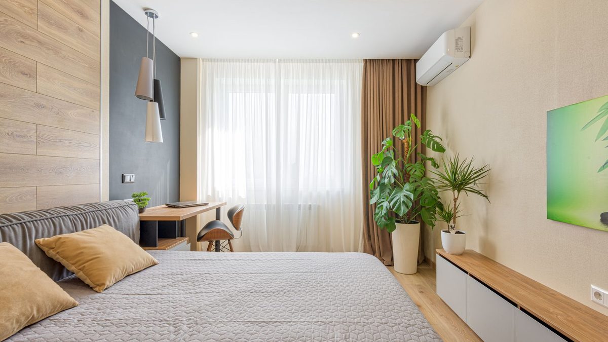 Why bedroom wall mould returns days after you bleach it