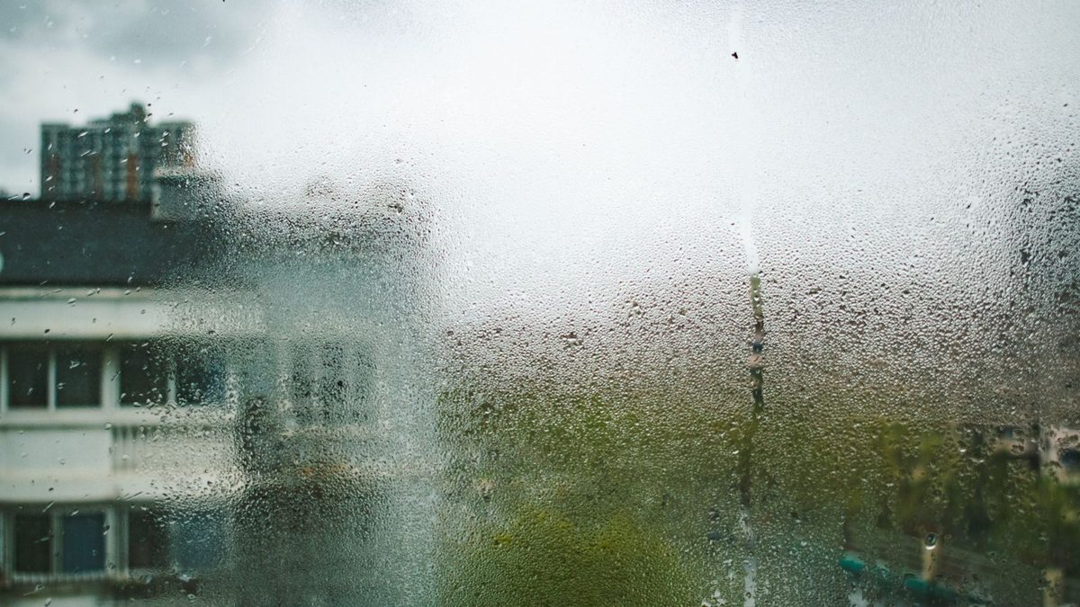 Why your HDB still smells musty days after the rain stops