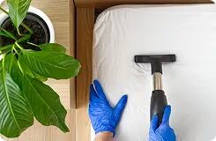 Spring Cleaning Services in Singapore