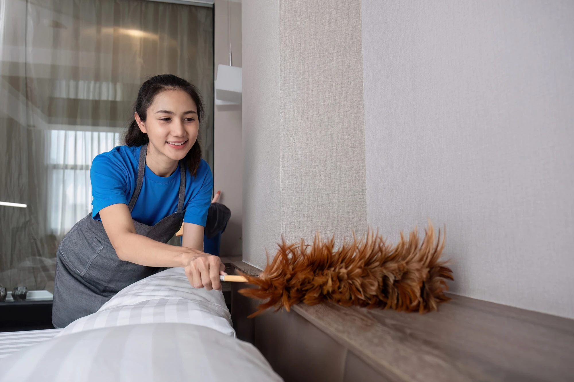 Dust & Debris Removal