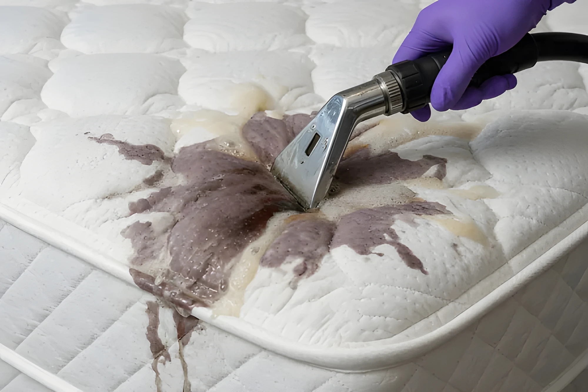 Stain & Odour Removal