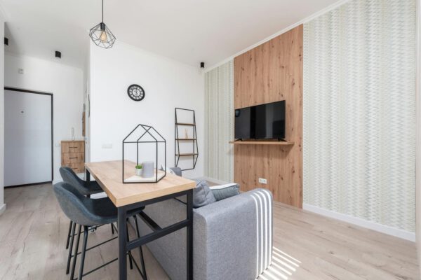 Comfortable living room with contemporary interior with TV and sofa gray sofa in bright daylight