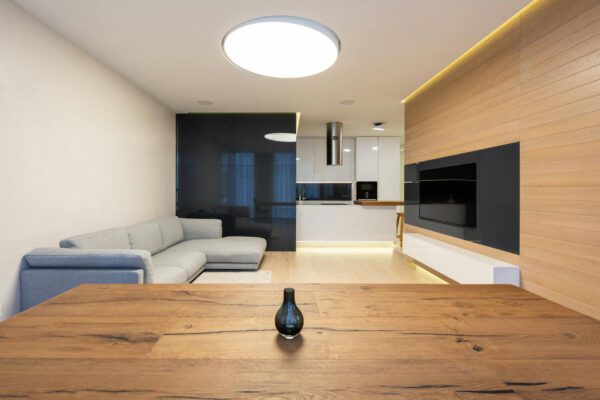 Interior design of studio flat with sofa and TV set and sofa in living zone and modern kitchen corner