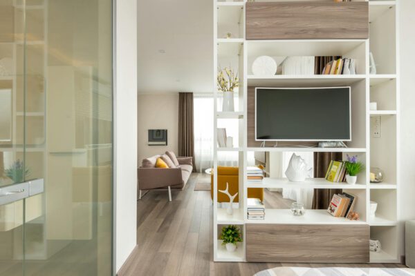 Interior of modern flat with comfortable furniture and wooden shelves with books and television set