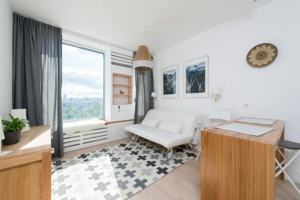 Comfortable sofa placed on rug at wall decorated with paintings in modern room with wooden table and drawer near window