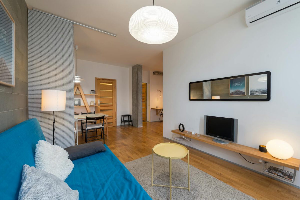Comfortable sofa with soft pillows located in spacious modern cozy living room with television set and mirror