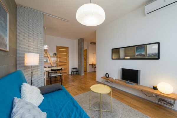 Comfortable sofa with soft pillows located in spacious modern cozy living room with television set and mirror