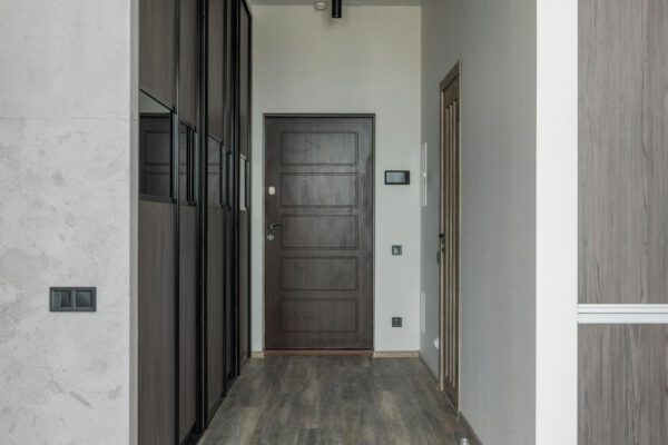 Wooden door against narrow passage with parquet and closet in contemporary house in daylight