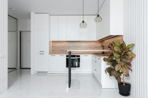 Potted Codiaeum variegatum plant decorating spacious light kitchen with minimalist white furniture and modern appliances at home