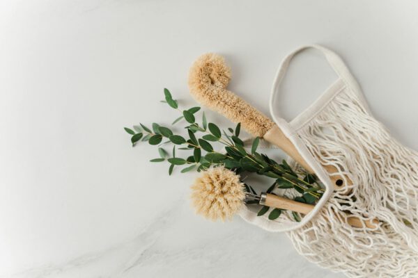 Eco-friendly cleaning brushes and eucalyptus branches